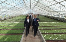 Yerevan Mayor Taron Margaryan vistied the city green-house