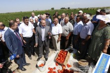Prime Minister pays working visit to Armavir Marz